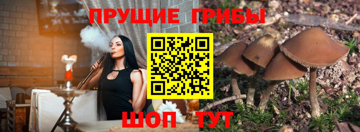 Псилоцибиновые грибы MAGIC MUSHROOMS  Вход с VPN  Шуя 