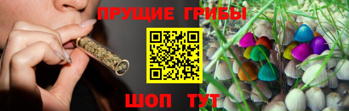 Псилоцибиновые грибы Cubensis Шуя